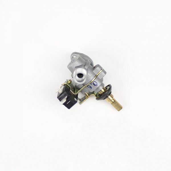 Gas Valve plus Ignition Switch Standard 0.6