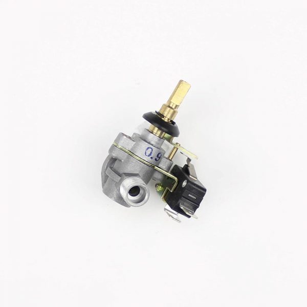 Gas Valve 0.9 plus Ignition Switch Standard