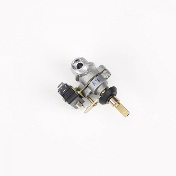 Gas Valve + Ignition Switch 1.1 Standard